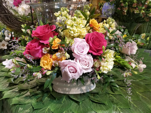 Plant Nursery «Potomac Petals and Plants», reviews and photos, 9545 River Rd, Rockville, MD 20854, USA