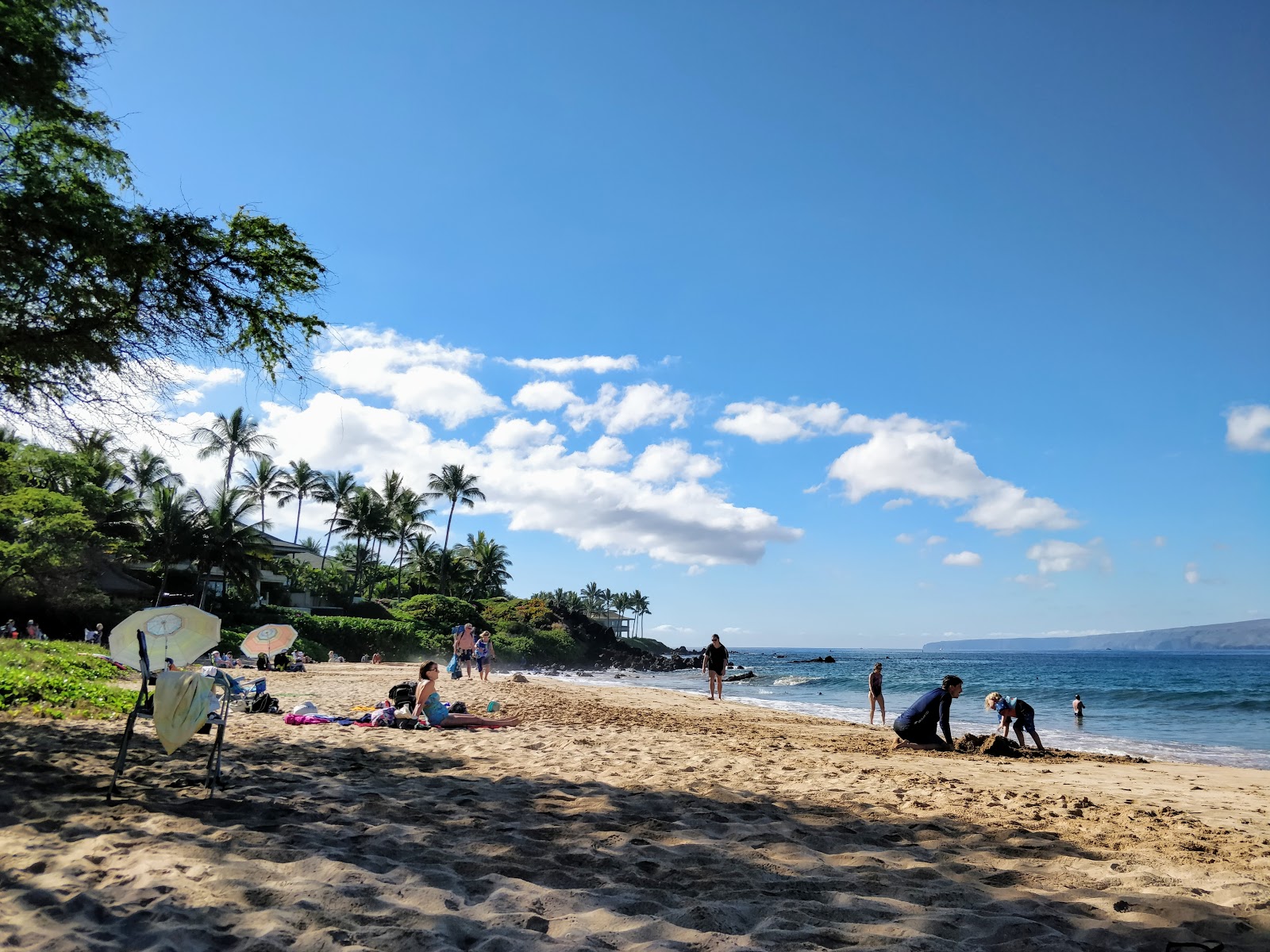 Palauea Beach'in fotoğrafı - tatil için iyi evcil hayvan dostu nokta