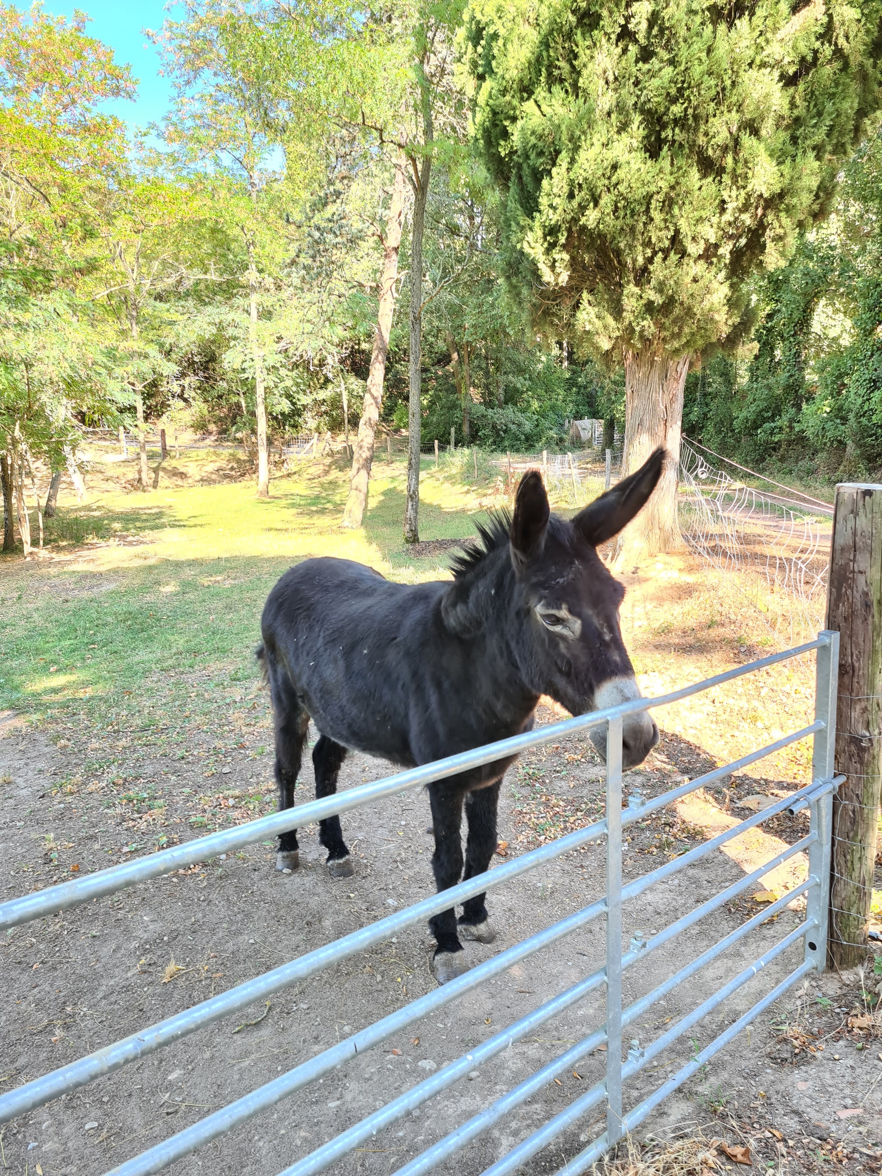 Photo n° 3 de l'avis de Oskar.u fait le 22/08/2021 à 14:11