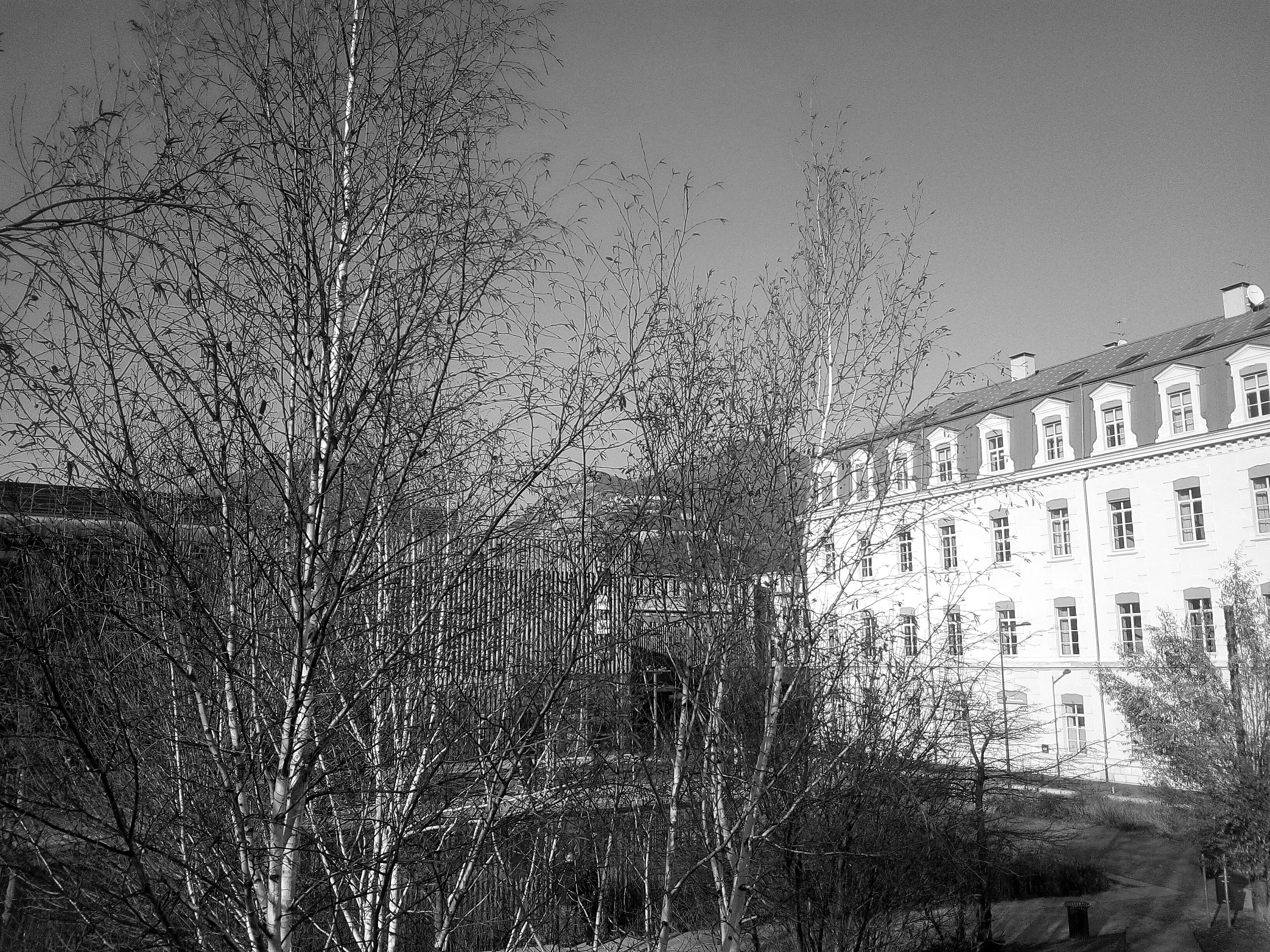 Photo n° 2 de l'avis de Elwiin.u fait le 20/02/2018 à 08:24