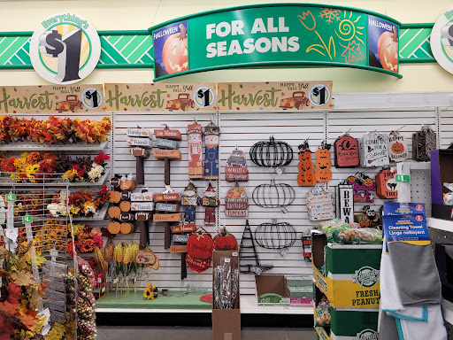 Dollar Store «Dollar Tree», reviews and photos, 4959 Bill Gardner Pkwy Ste 107, Locust Grove, GA 30248, USA