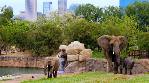 Zoo «Indianapolis Zoo», reviews and photos, 1200 W Washington St, Indianapolis, IN 46222, USA