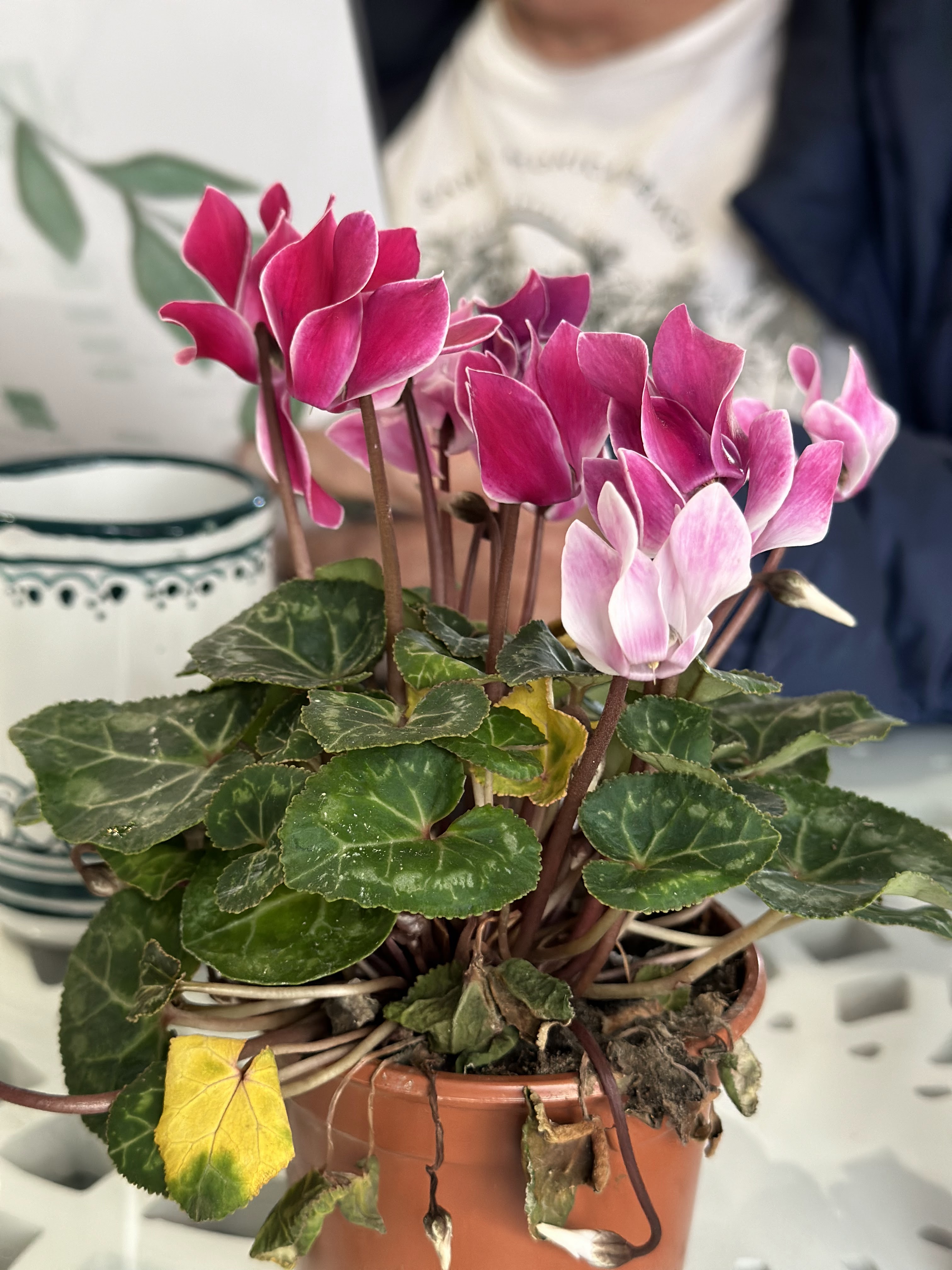 Photo n° 6 de l'avis de Benji.r fait le 29/09/2023 à 12:33