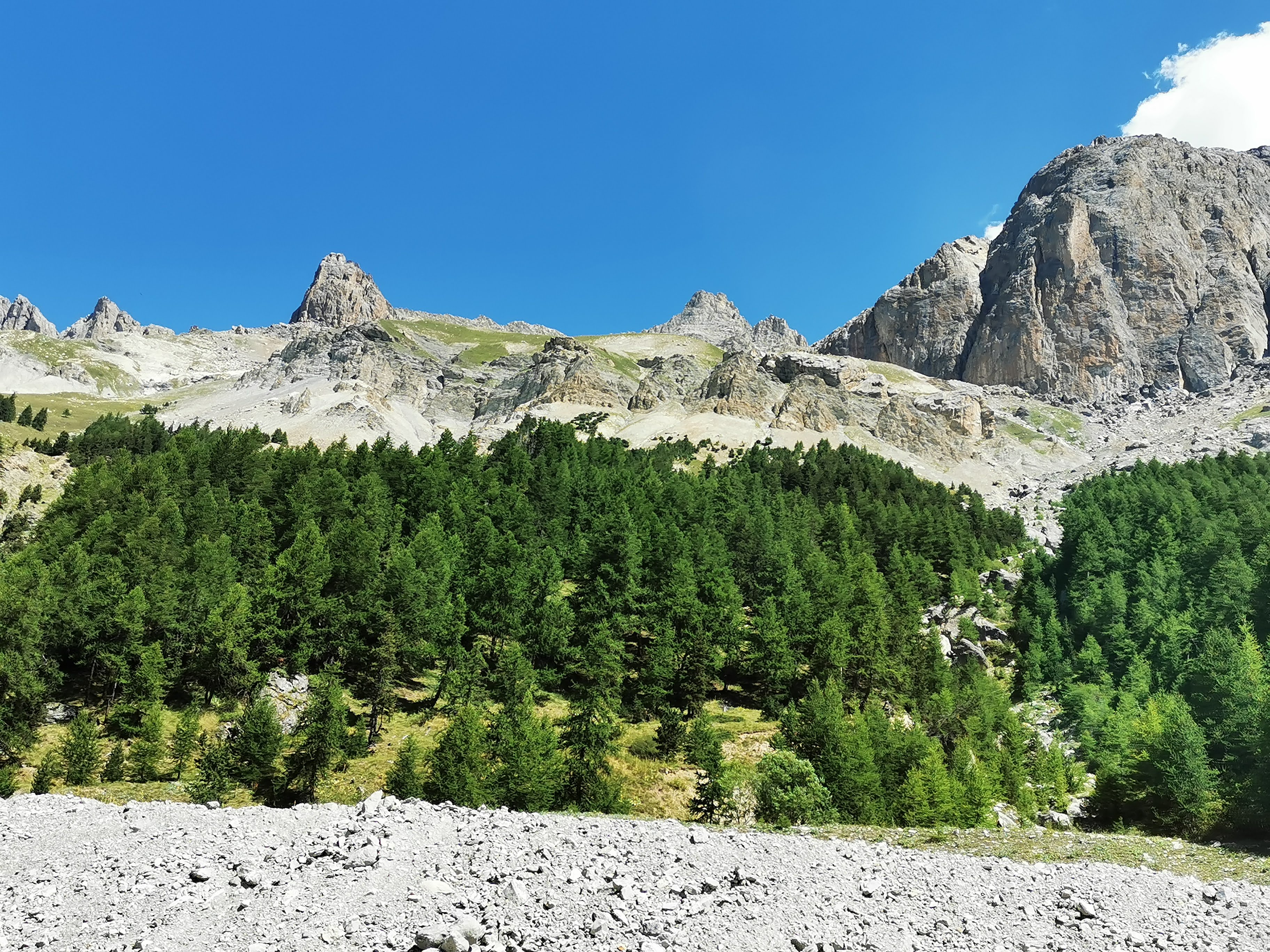 Photo n° 7 de l'avis de viorel.i fait le 24/08/2019 à 14:47