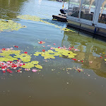 Photo n°14 de l'avis de Baeth.a fait le 06/08/2018 à 15:51 sur le  Klipper Segelschiffrestaurant à Berlin
