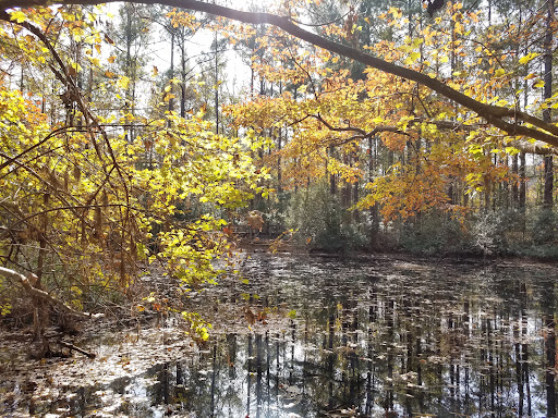 Bluethenthal Wildflower Preserve