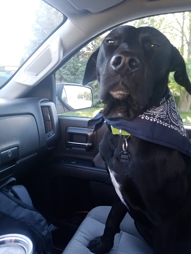 Pet Supply Store «Pet Supplies Plus», reviews and photos, 4505 S 76th St, Greenfield, WI 53220, USA