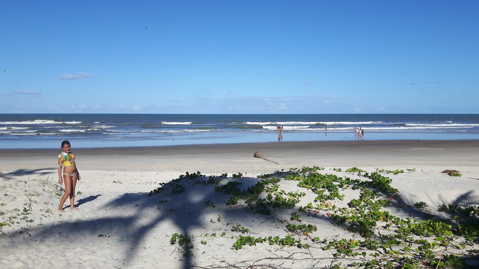 科斯塔海滩的照片 带有碧绿色水表面
