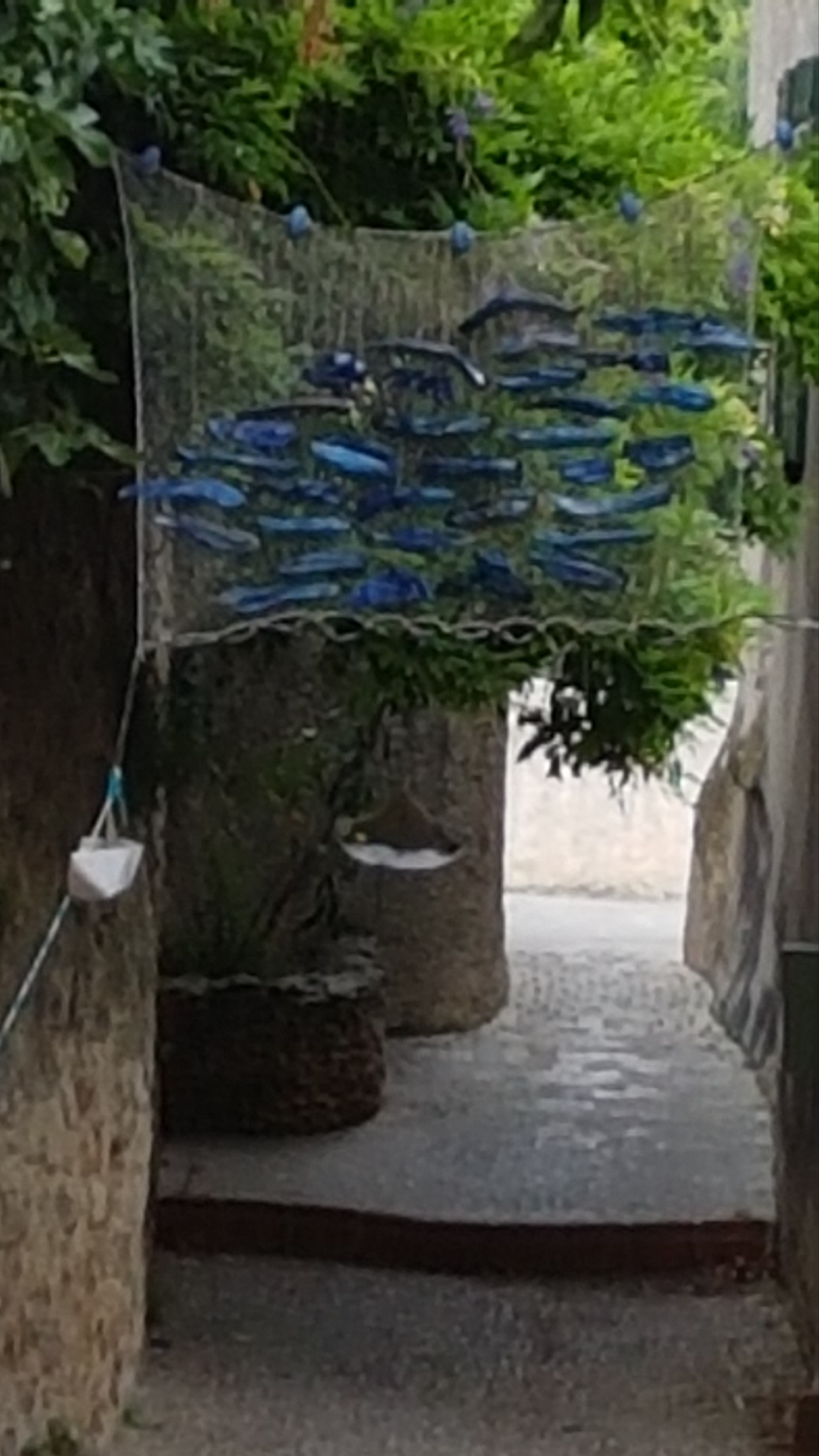 Photo n° 1 de l'avis de marie.r fait le 28/07/2021 à 18:10
