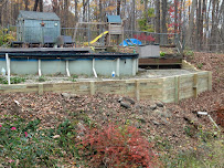 Payne's Landscaping & Stump Grinding - Photo 6 - Car repair in , Danbury