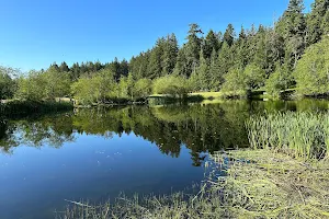 Trident Lakes Recreation Area image