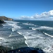 Muriwai Gannet Colony Lookout