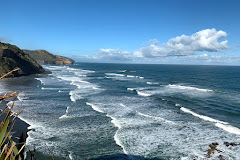 Muriwai Gannet Colony Lookout