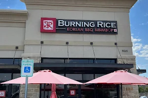 Burning Rice image