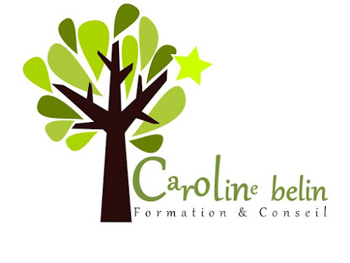 Centre de formation continue Caroline Belin Formation & Conseil Novalaise