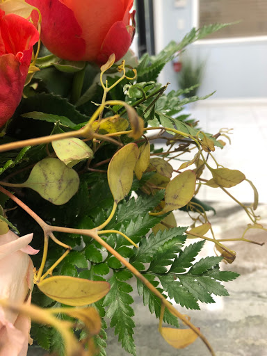 Florist «A-Apple Blossom Florist», reviews and photos, 566 S Decatur Blvd, Las Vegas, NV 89107, USA