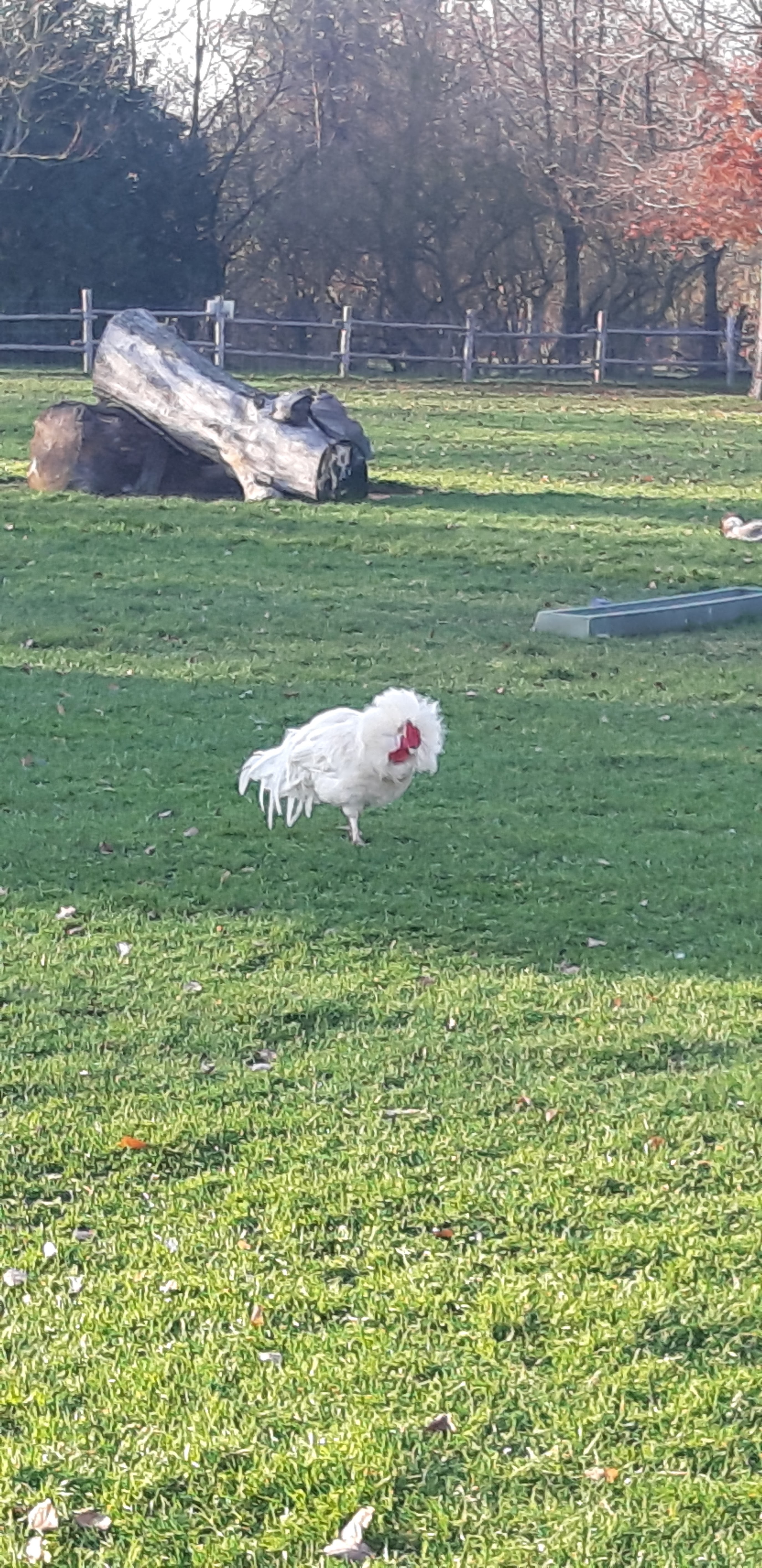 Photo n° 27 de l'avis de betty.o fait le 10/12/2019 à 11:19