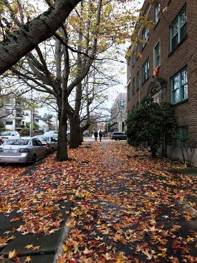 Park «Ballard Commons Park», reviews and photos, 5701 22nd Ave NW, Seattle, WA 98107, USA