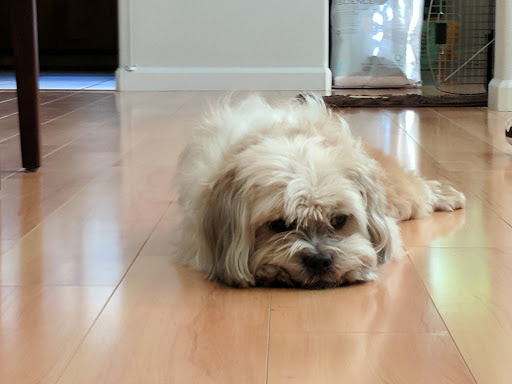 Pet Supply Store «Pet Food Express», reviews and photos, 265 Davis St, San Leandro, CA 94577, USA