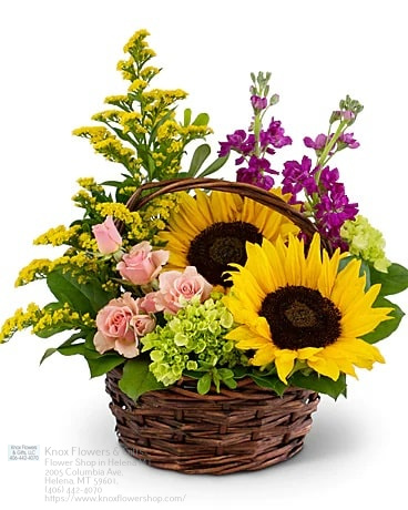 Florist «Knox Flowers & Gifts», reviews and photos, 2005 Columbia Ave, Helena, MT 59601, USA