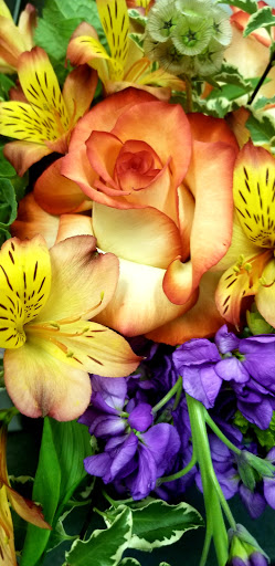 Florist «Mills & Young Florists», reviews and photos, 7122 Dixie Hwy, Louisville, KY 40258, USA