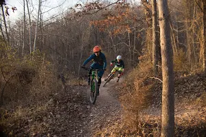 Blowing Springs MTB Trail Head image