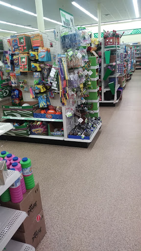 Dollar Store «Dollar Tree», reviews and photos, 1442 FL-436 #1052, Casselberry, FL 32707, USA