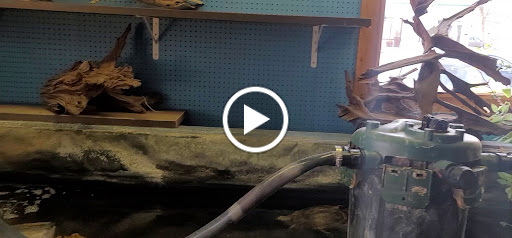 Pet Store «Aqualand Aquarium Center», reviews and photos, 5355 Chicago Ave, Minneapolis, MN 55417, USA