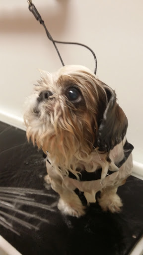 Pet Supply Store «EarthWise Pet», reviews and photos, 4880 Lower Roswell Rd #10, Marietta, GA 30068, USA