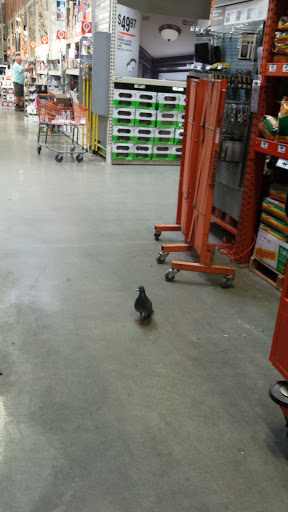 Home Improvement Store «The Home Depot», reviews and photos, 111 Shoreline Pkwy, San Rafael, CA 94901, USA
