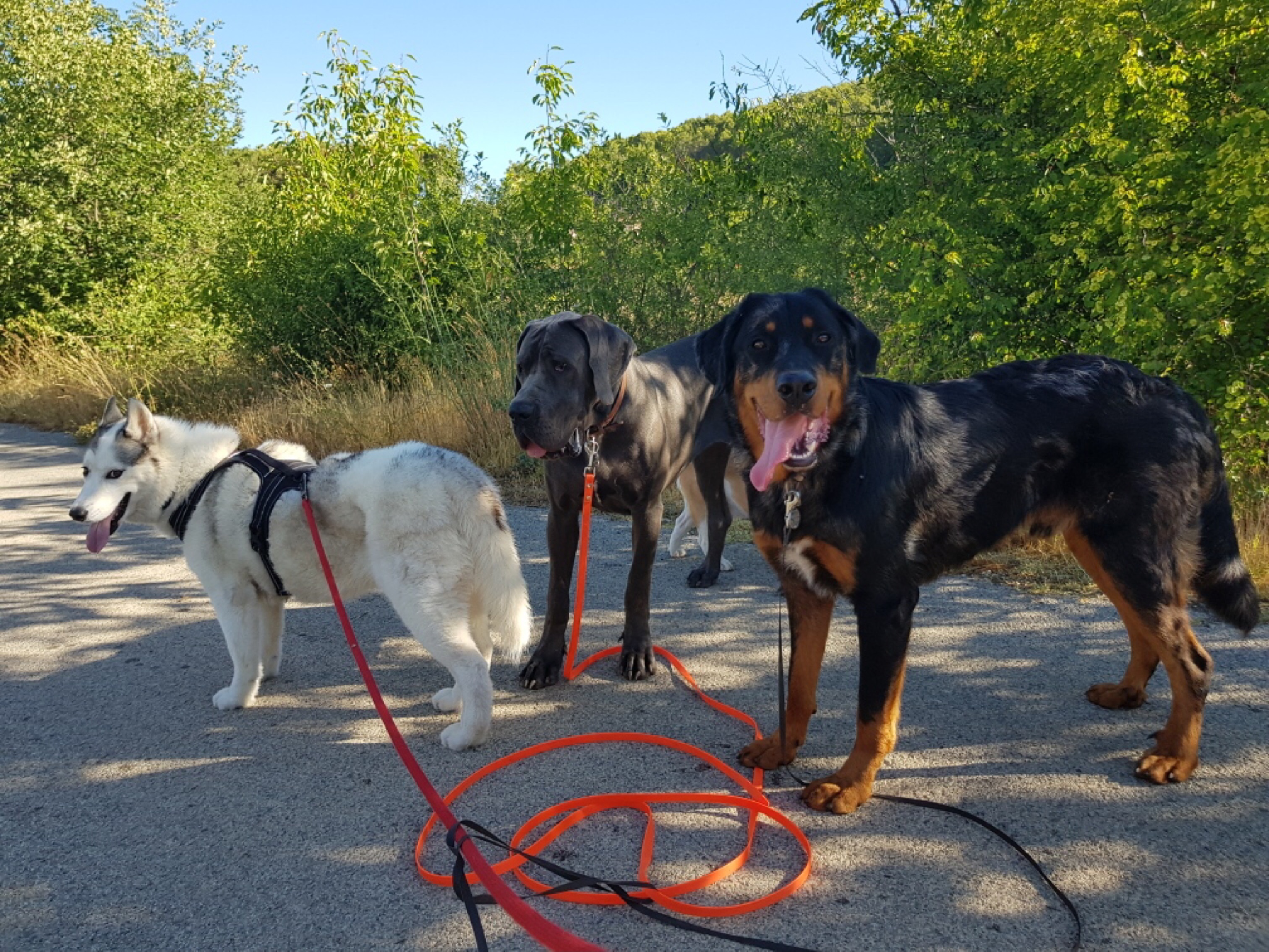 Photo n° 3 de l'avis de Teddy.e fait le 22/07/2019 à 15:30
