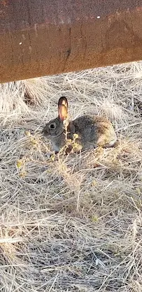Four Seasons Landscape Materials - Car repair in Marysville, CA, Yuba City - Rated 4.6/5