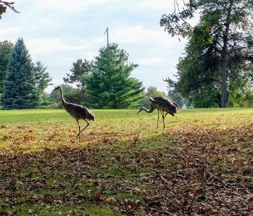 Golf Club «Odana Hills Golf Course», reviews and photos, 4635 Odana Rd, Madison, WI 53711, USA