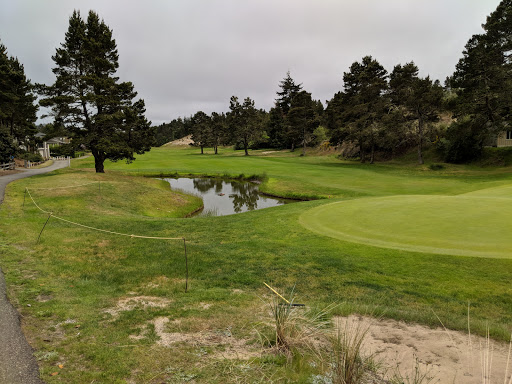 Golf Course «Ocean Dunes Golf Links», reviews and photos, 3345 Munsel Lake Rd, Florence, OR 97439, USA