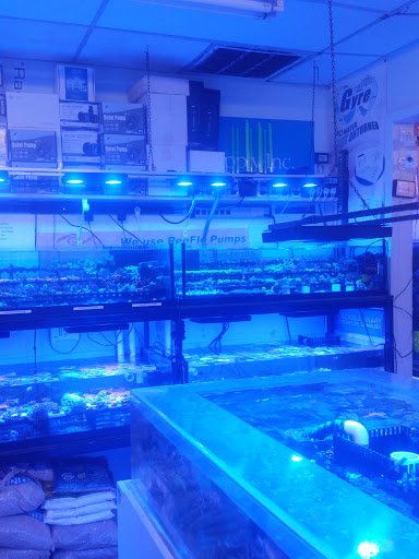 Aquarium «FJW AQUARIUM», reviews and photos, 3839 Mangum Rd, Houston, TX 77092, USA