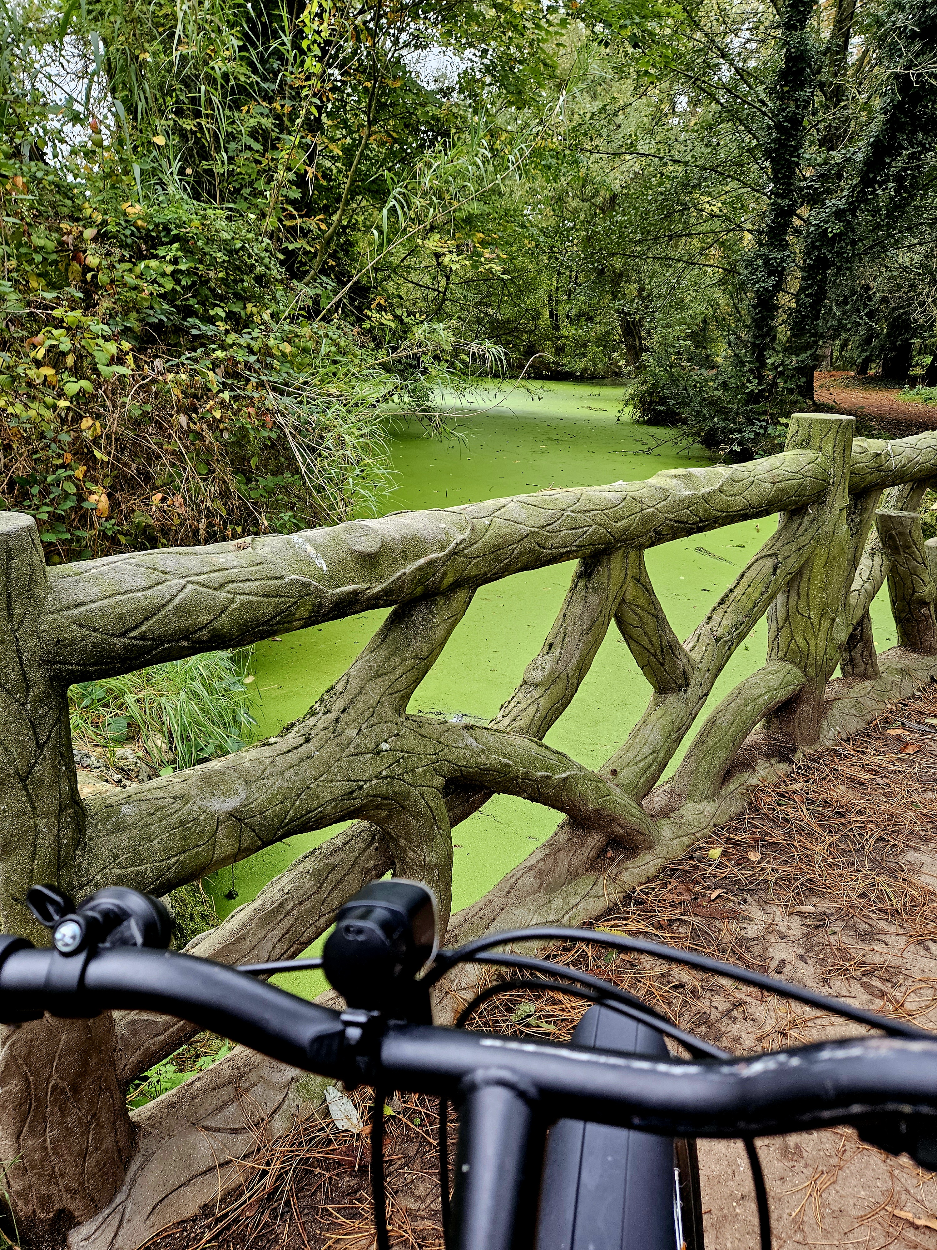 Photo n° 2 de l'avis de Bal.t fait le 27/10/2023 à 19:35