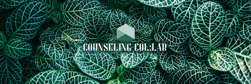 Counseling Collab
