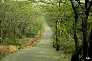 Jahapanah City Forest Entry Gate image