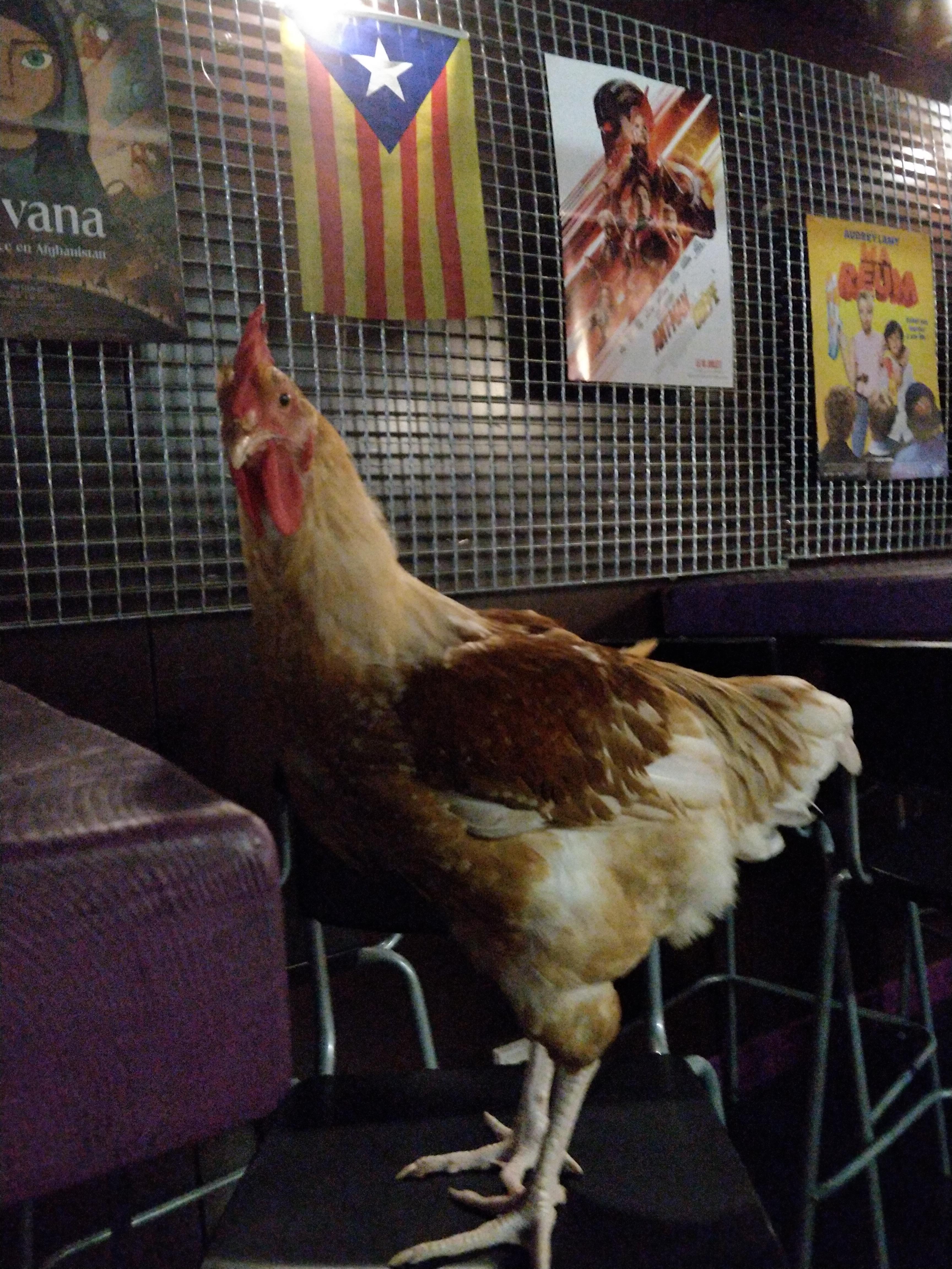 Photo n° 14 de l'avis de Erick.a fait le 10/01/2019 à 17:33