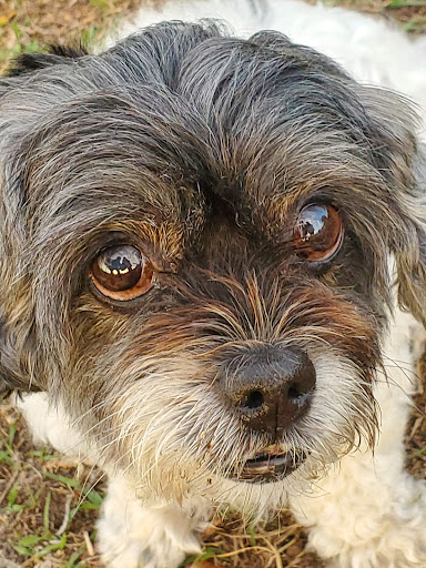 Park «Creekwood Park», reviews and photos, 7025 44th Ave E, Bradenton, FL 34205, USA