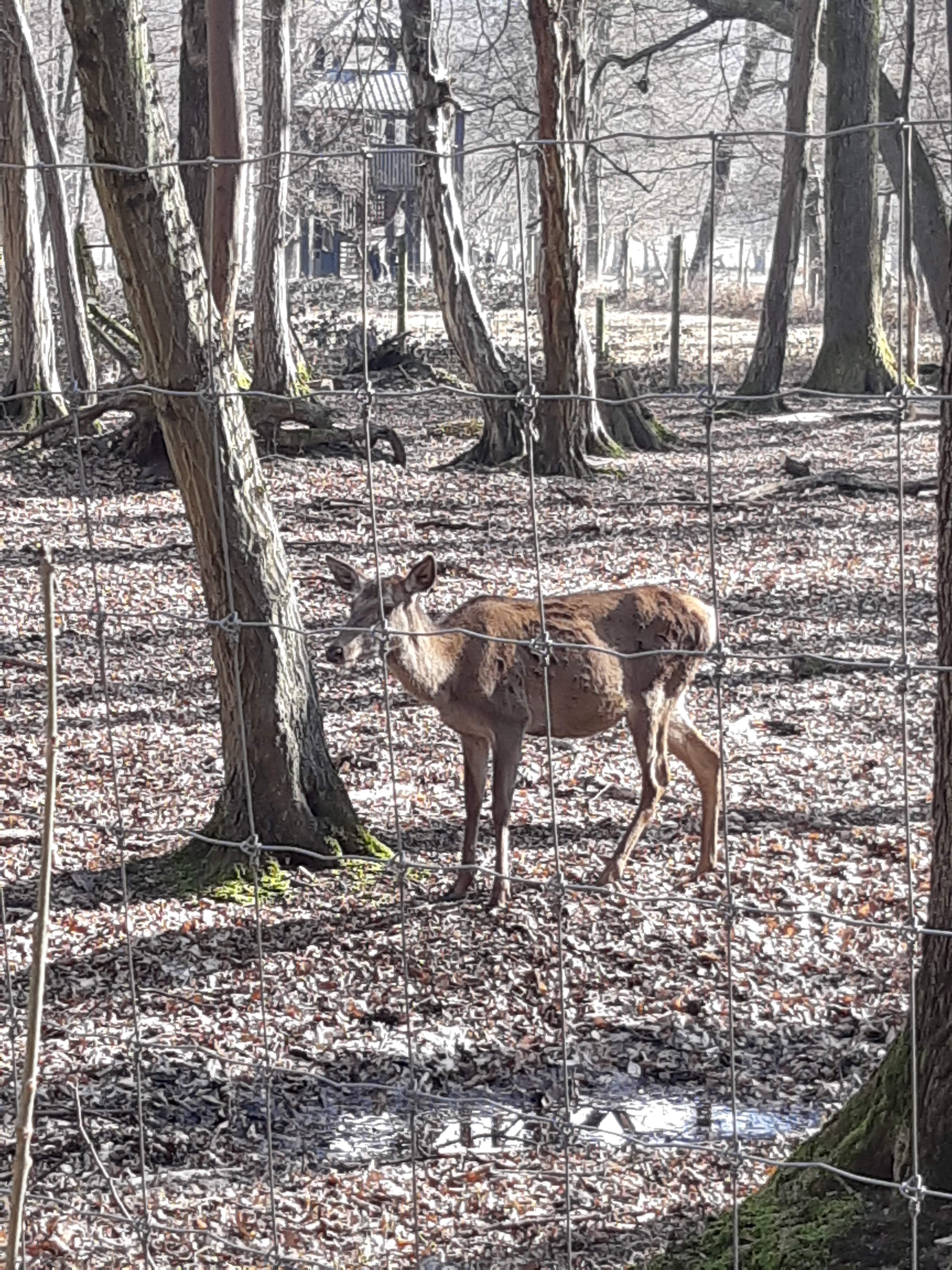 Photo n° 2 de l'avis de valentin.a fait le 17/03/2019 à 15:57