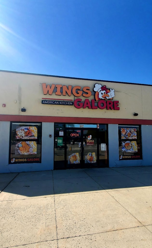 Wings Galore 60466
