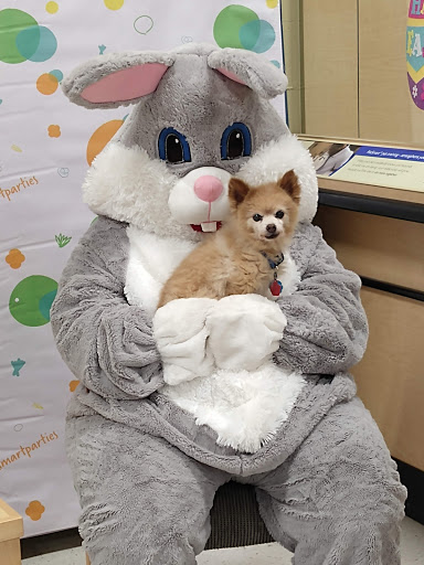 Pet Supply Store «PetSmart», reviews and photos, 4013 Wisconsin 28, Kohler, WI 53081, USA