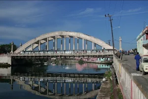 Rio San Juan image