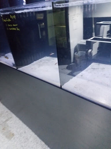 Tropical Fish Store «Hydra Aquatics International, Inc.», reviews and photos, 1300 Stirling Rd #7a, Dania Beach, FL 33004, USA