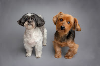 Yee Lim Photography - Photo 6 - Car repair in Huntington Beach, CA, Huntington Beach