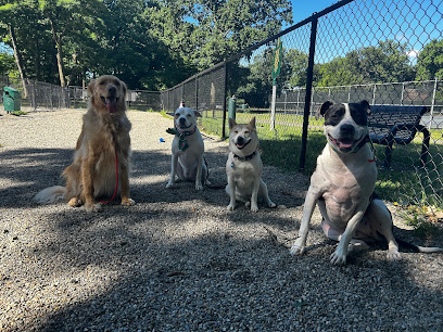 Pawsitive Pack Training