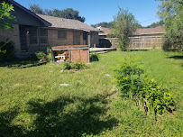 C&J's Grass and Things, LLC - Photo 3 - Car repair in Corpus Christi, TX, Corpus Christi