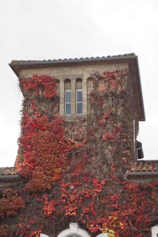 Photo n° 4 de l'avis de Roumaz.a fait le 16/11/2016 à 10:38