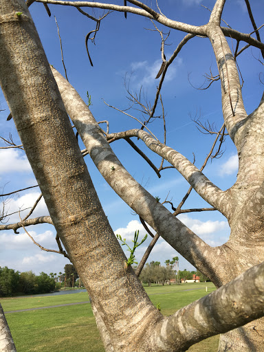 Country Club «Rancho Viejo Resort & Country Club», reviews and photos, 1 Rancho Viejo Dr, Rancho Viejo, TX 78575, USA